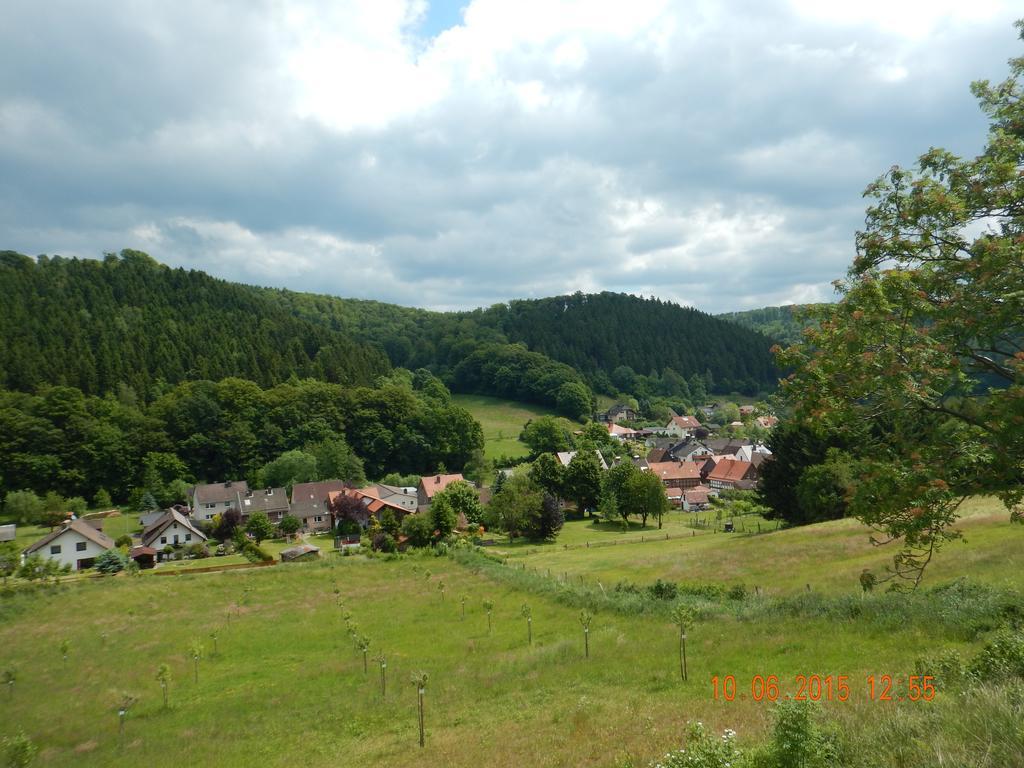 Gasthaus Koehlerhof Delliehausen Eksteriør bilde